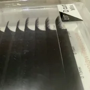 0,07 D Perfect Lashes